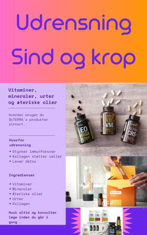 E-bog 30 Dages mental og fysisk udrensning