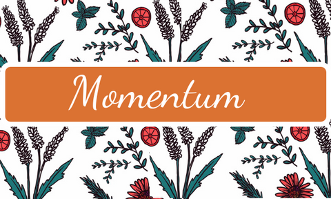 Momentum